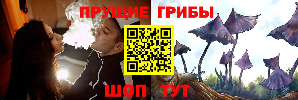 Псилоцибиновые грибы прущие грибы Аргун