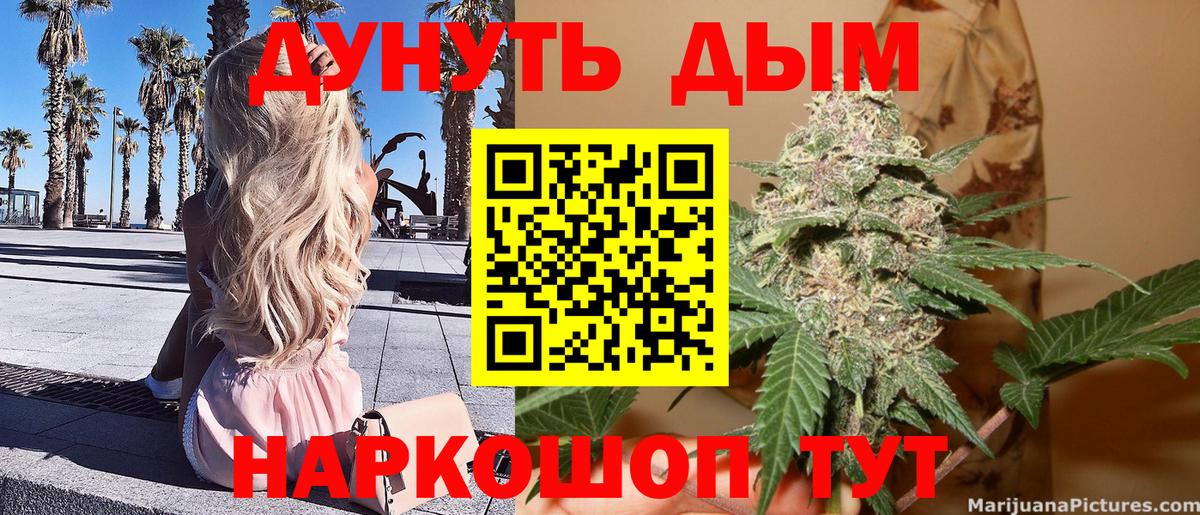 Канабис AK-47  Вход с VPN  Бошки марихуана AK-47  Аргун  Бошки Шишки Ganja  Бошки Шишки планчик 